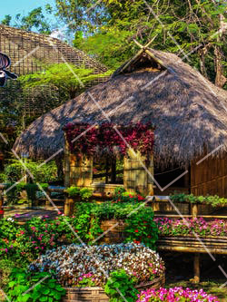 如何拍出鲜艳的照片 怎样拍出色彩鲜艳的照片