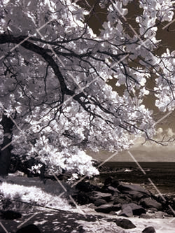 开始学摄影买什么相机 初学摄影买什么价位相机好图2