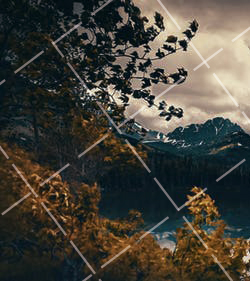 拍星空,这些器材不可少的英文 拍星空用什么