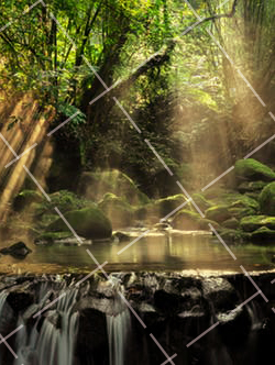 摄影的应用有哪些 摄影的实用性