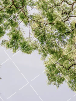 人像摄影大忌 人像摄影有哪些技巧