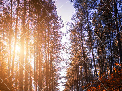 2020 中学生摄影兴趣班有哪些 中学摄影课