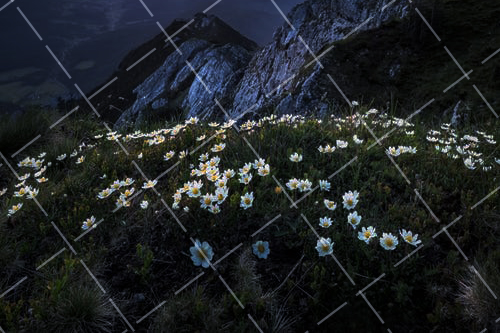 摄影构图基础 摄影构图基本规律