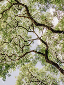 摄影画面中最重要的部分是 摄影画面有哪些构成要素