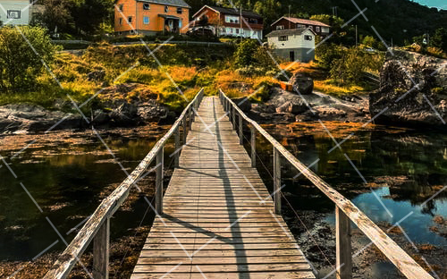 宠物摄影快速入门指南pdf 宠物摄影教程