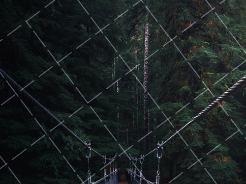 刀子与叉子 刀子和叉子怎么说