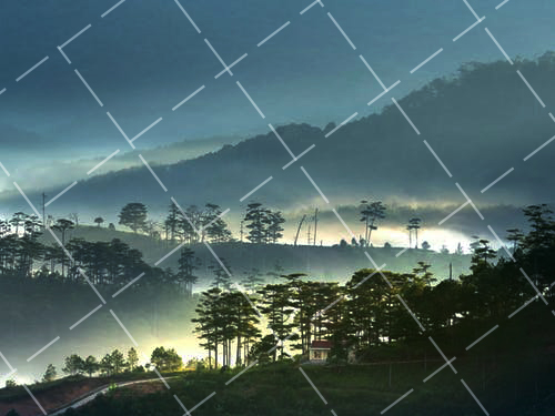 动物世界摄影师怎么拍的 动物世界里怎么拍摄