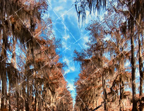 产品模特拍摄构图 模特拍摄术语