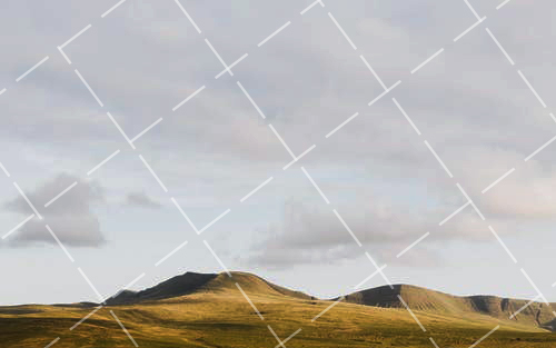 2021关于微距摄影闪光灯的规定 微距闪光灯可以拍人像吗