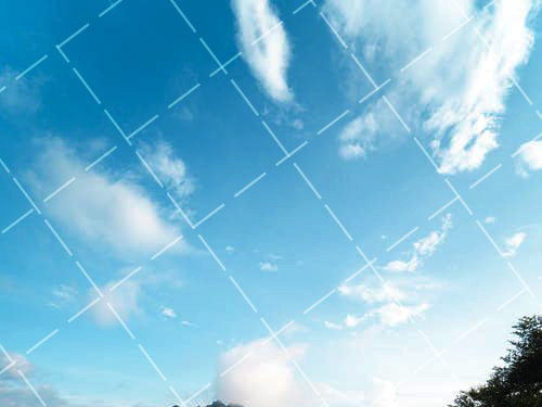 中心构图和三分构图 什么叫三分法构图