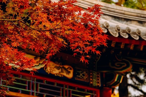 佳能r100 佳能r18