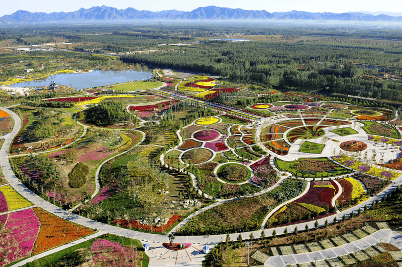 2021北京郁金香文化节 北京郁金香花园展销会图3