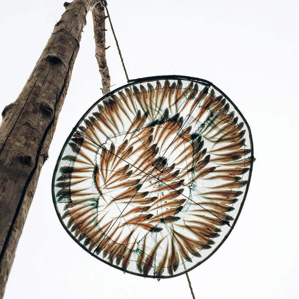 2016年ippa摄影大赛获奖作品 2015摄影大赛获奖作品