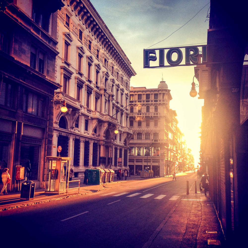 2016年ippa摄影大赛获奖作品 2015摄影大赛获奖作品