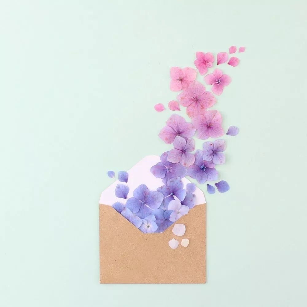 色彩强调图片 色彩强弱感图片图2