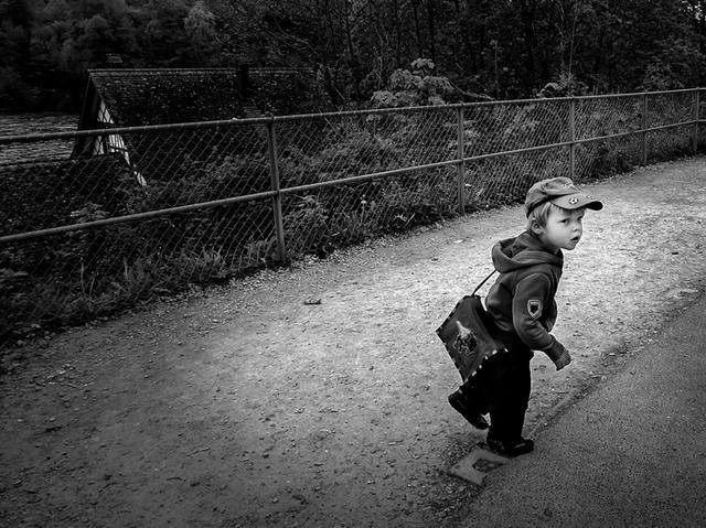 邹佩珍个人资料 邹佩真嫁人了吗图1