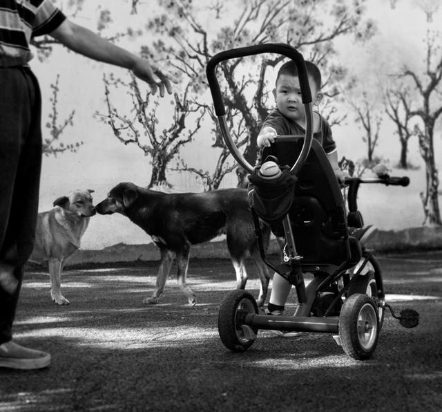 邹佩珍个人资料 邹佩真嫁人了吗