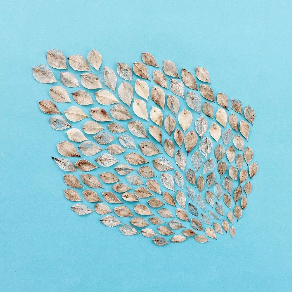 色彩强调图片 色彩强弱感图片