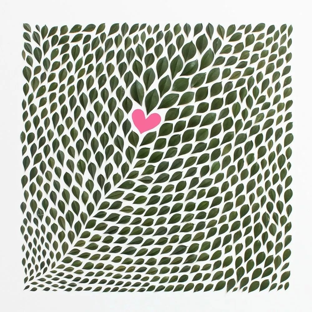 色彩强调图片 色彩强弱感图片