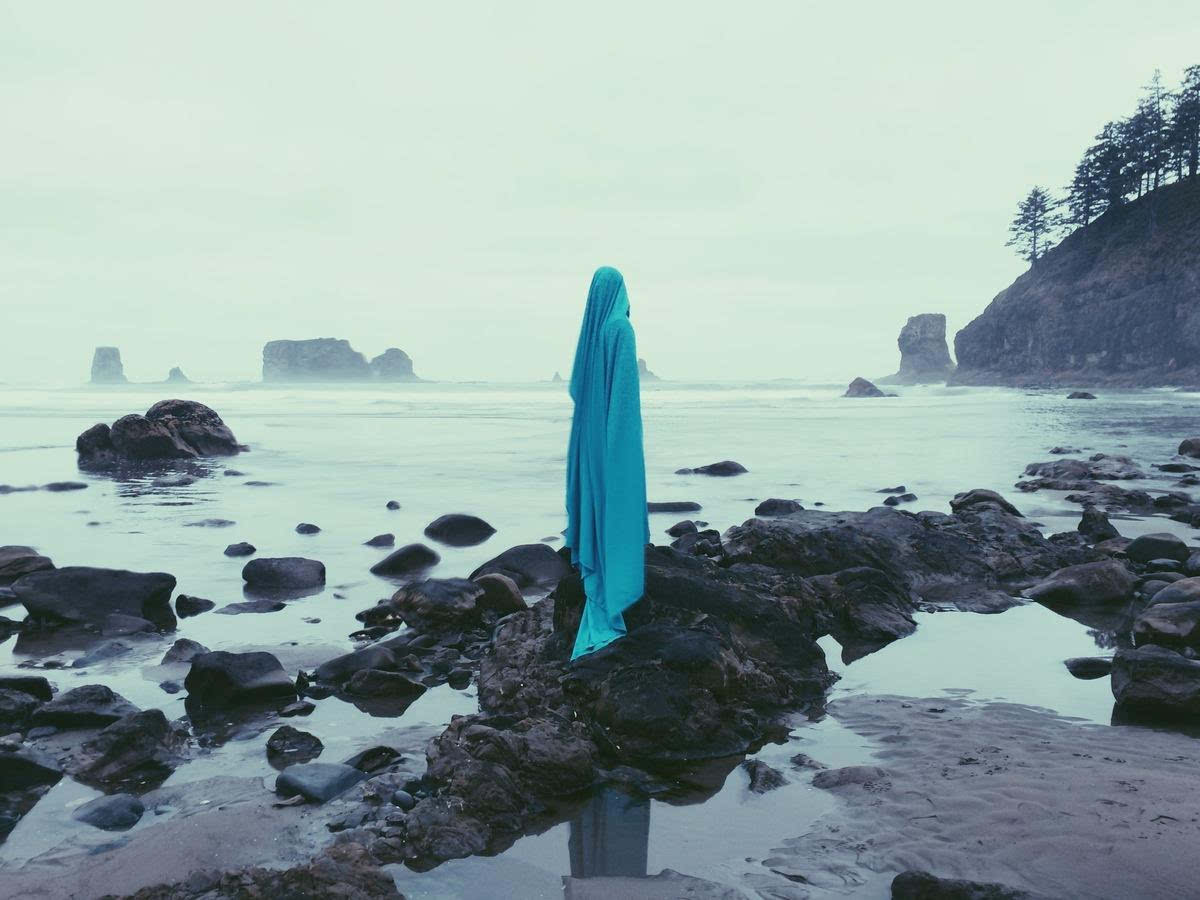 2016年ippa摄影大赛获奖作品 2015摄影大赛获奖作品