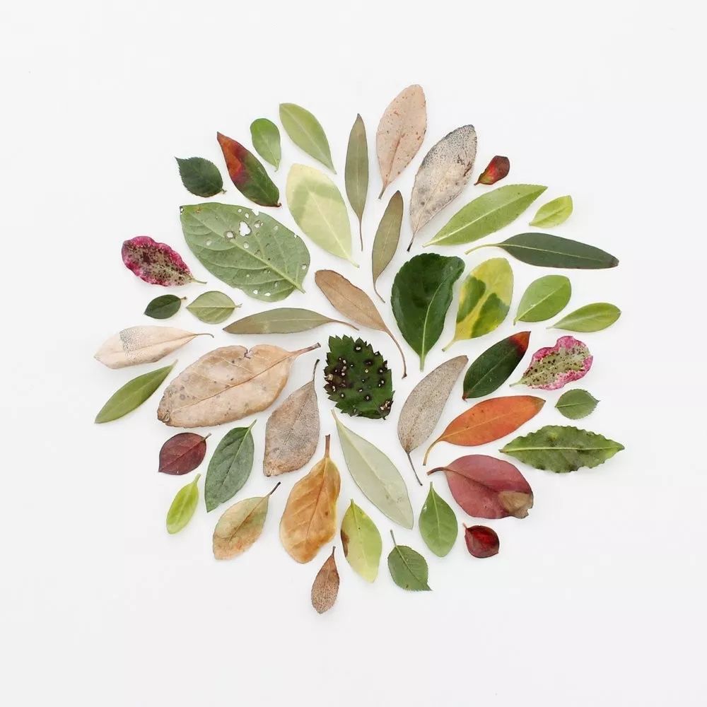 色彩强调图片 色彩强弱感图片