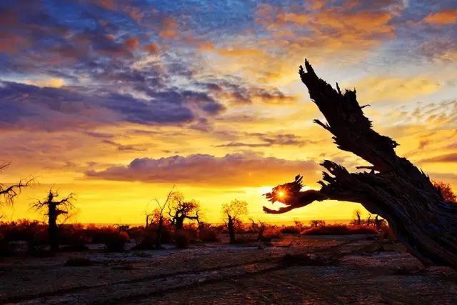 中国获奖摄影作品欣赏 中国摄影获奖作品照片图2