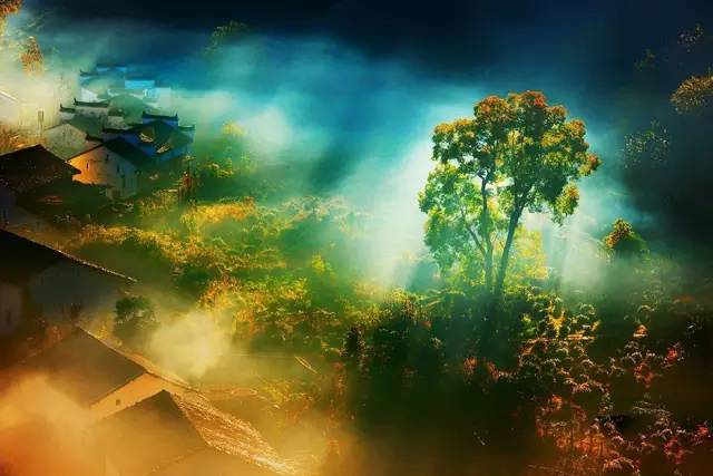 中国获奖摄影作品欣赏 中国摄影获奖作品照片图1