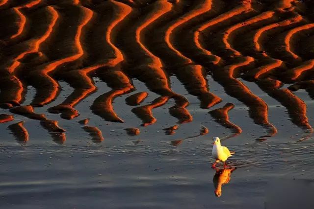 中国获奖摄影作品欣赏 中国摄影获奖作品照片