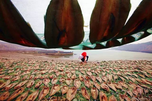 中国获奖摄影作品欣赏 中国摄影获奖作品照片