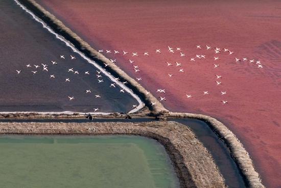 2017国家地理摄影大赛获奖作品 国家地理摄影比赛