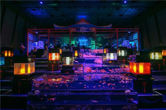 金鱼展览 上海 上海哪有金鱼渔场