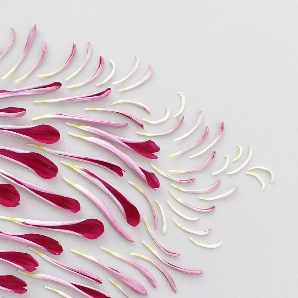 色彩强调图片 色彩强弱感图片