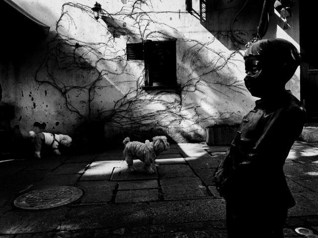 邹佩珍个人资料 邹佩真嫁人了吗