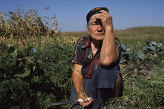 留守儿童 摄影 留守老人纪录片图1