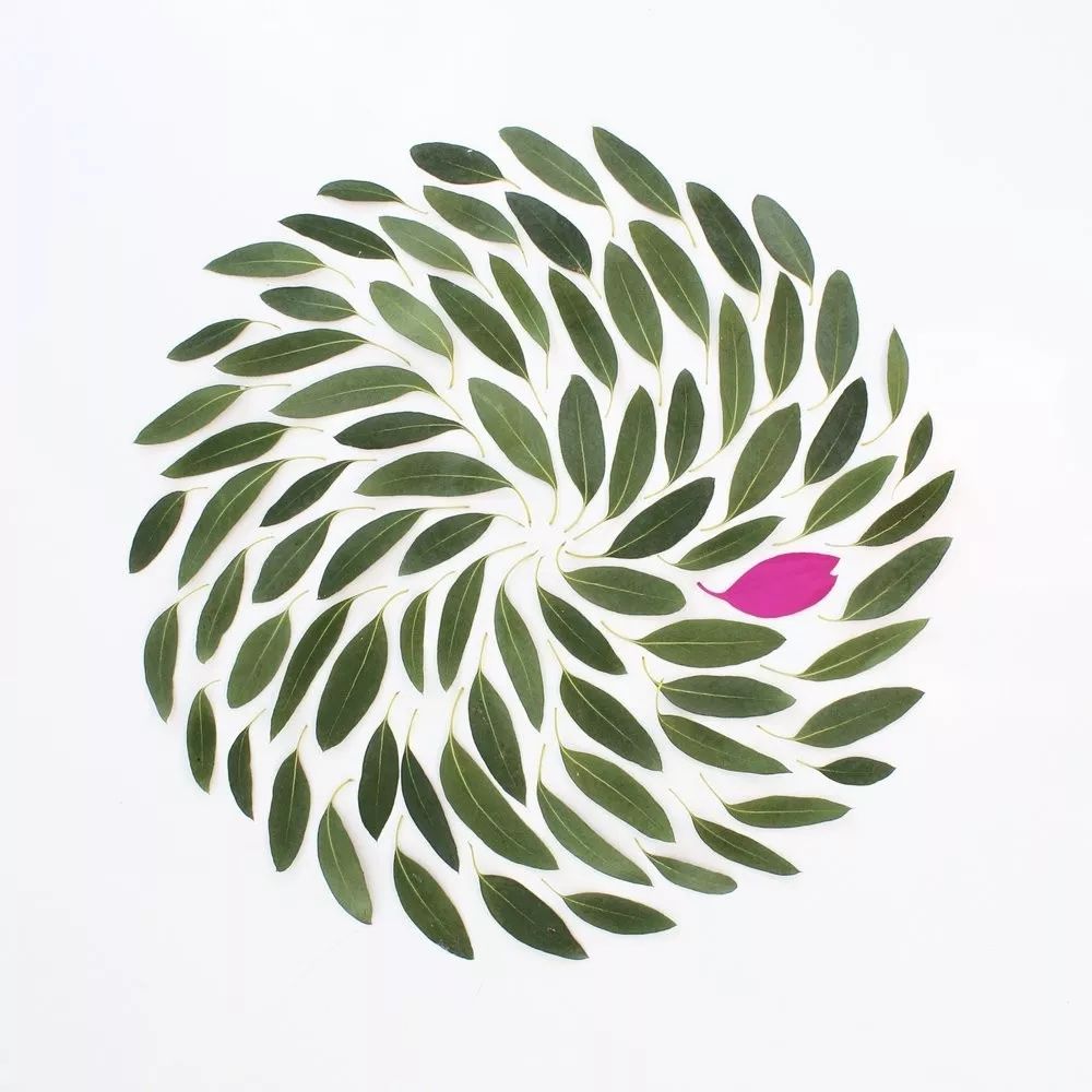 色彩强调图片 色彩强弱感图片