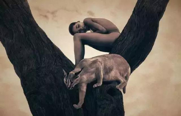 100张世界摄影名作 全球100张经典摄影作品动力