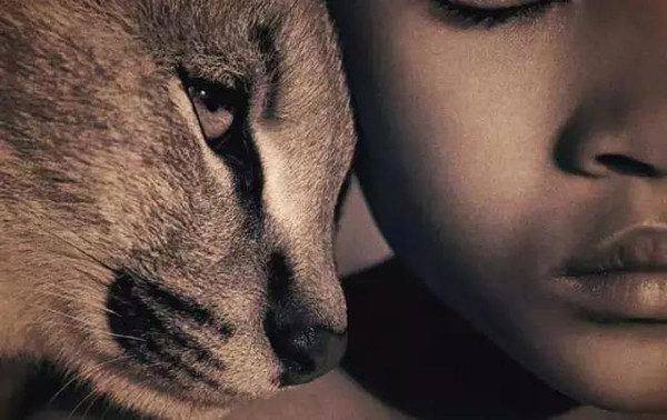 100张世界摄影名作 全球100张经典摄影作品动力图1