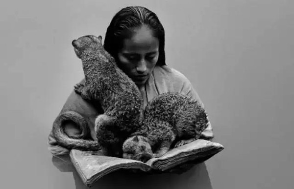 100张世界摄影名作 全球100张经典摄影作品动力