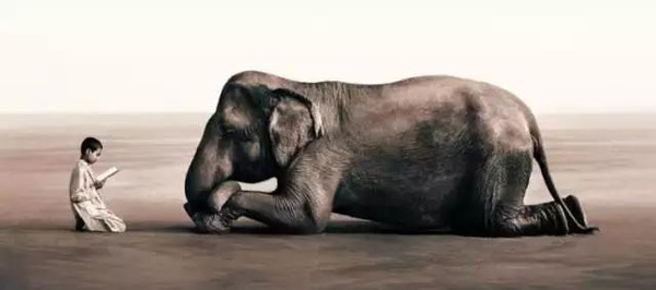 100张世界摄影名作 全球100张经典摄影作品动力