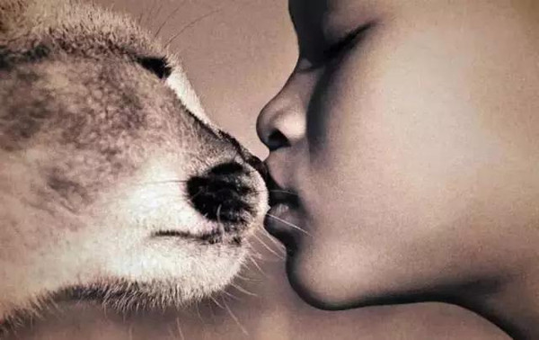 100张世界摄影名作 全球100张经典摄影作品动力图2