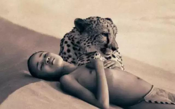 100张世界摄影名作 全球100张经典摄影作品动力图3