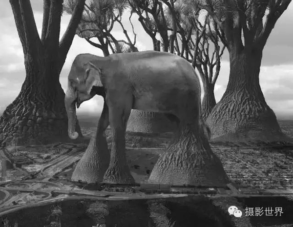 终于不再相信摄影了的说说 摄影师不可说