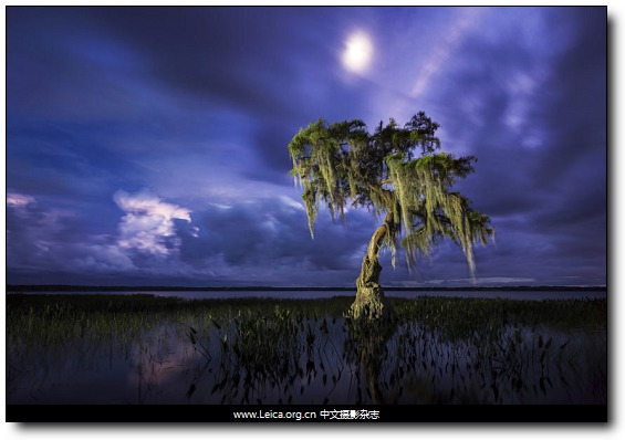 园林摄影获奖作品 园林绿化摄影获奖作品