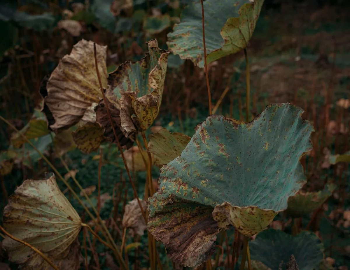 图虫人像摄影精选 图虫人像精选图3