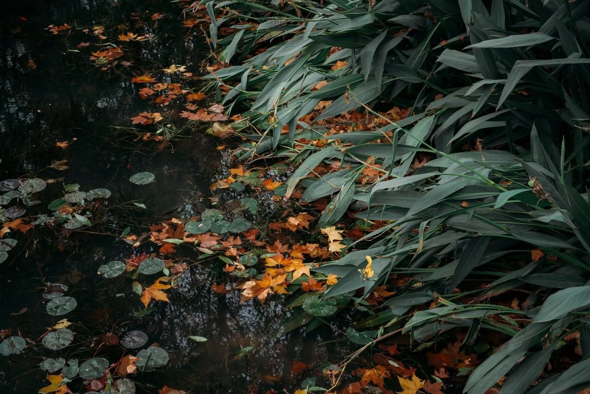 图虫人像摄影精选 图虫人像精选图2