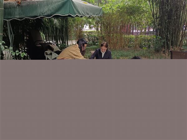 职工书画写生采风活动方案 书画采风活动方案图1