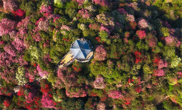 摄影作品 大赛 摄影大赛作品介绍