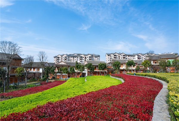 摄影作品 大赛 摄影大赛作品介绍