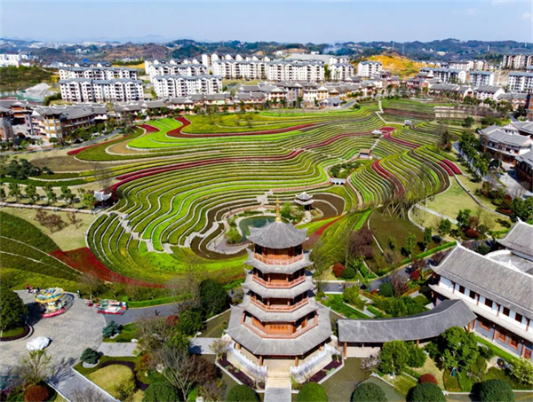 摄影作品 大赛 摄影大赛作品介绍