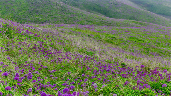 摄影作品 大赛 摄影大赛作品介绍
